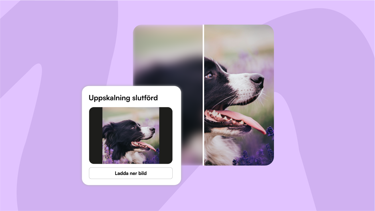 Pressify – förbättra dina bilder