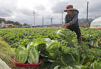 2026 농어촌 기본소득 시범사업 대상 농촌 지역 풍경