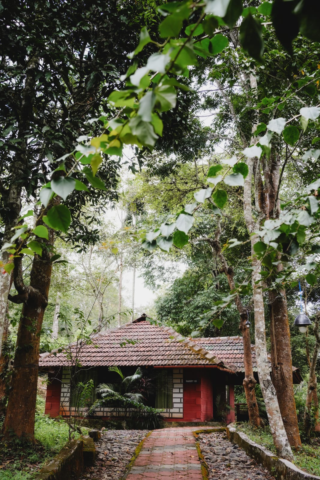 Jungle side resort