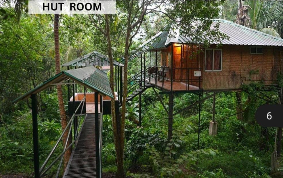 jungle hut