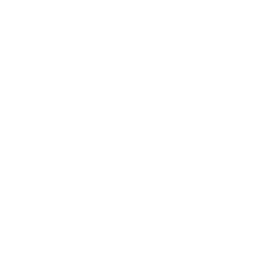 Liga U