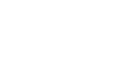 LF Endesa