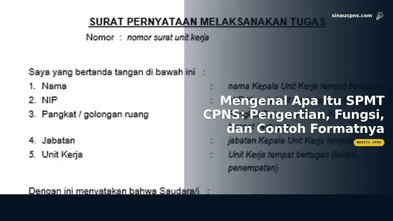 Mengenal SPMT CPNS Fungsi dan Contoh Format Dokumennya