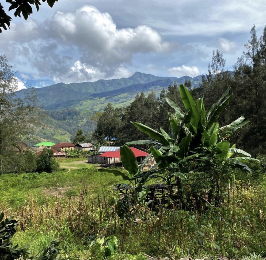 Ducurai Village Timor-Leste coffee farm