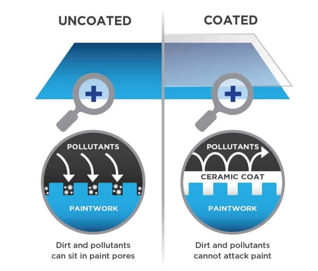 Paint Coating
