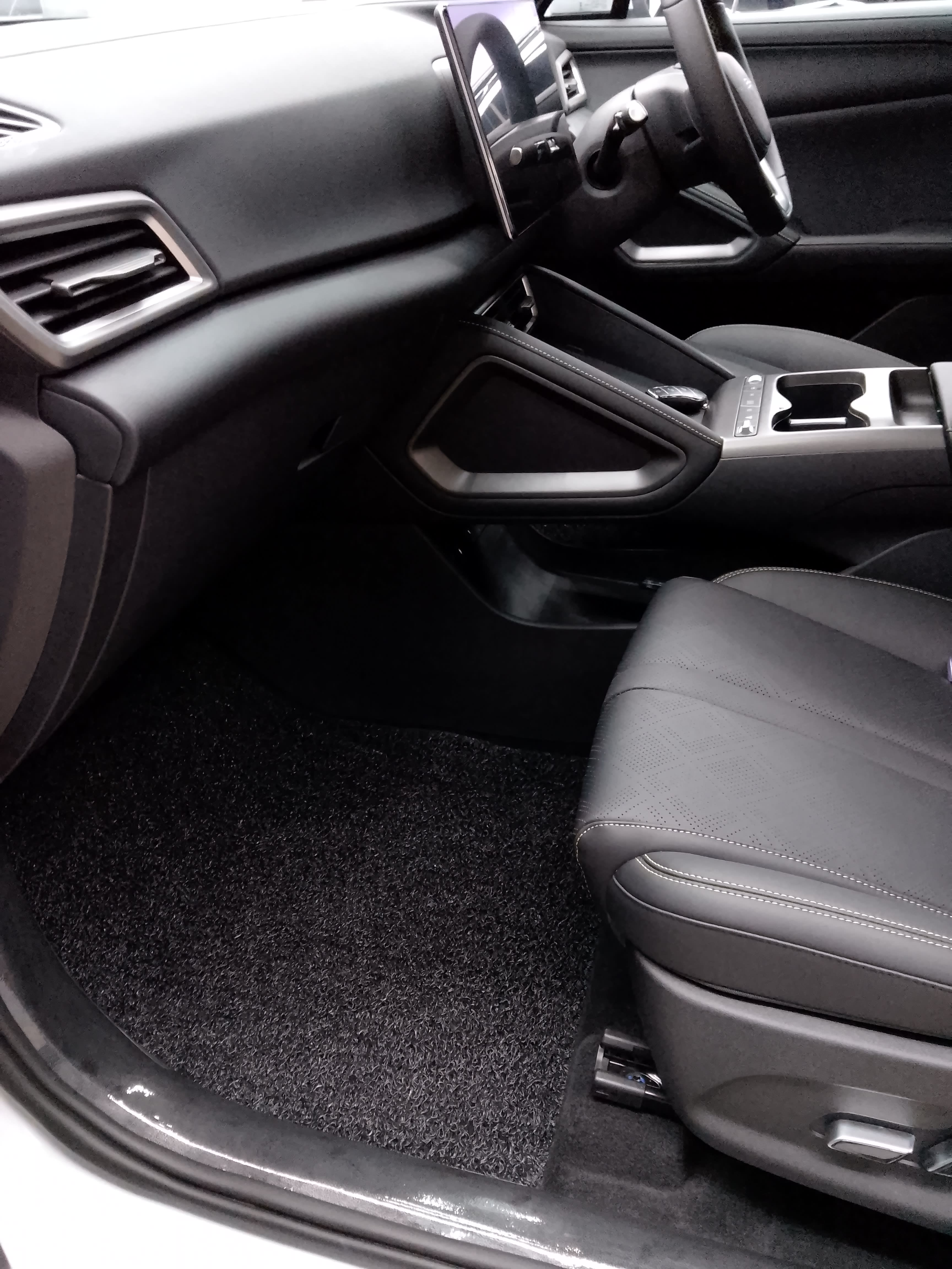 Passenger Side Floor Mat After