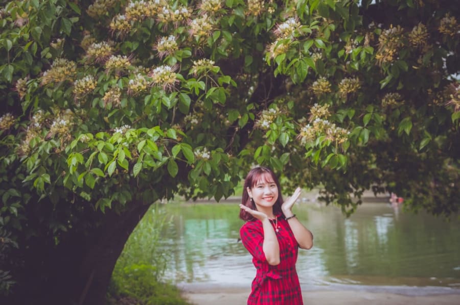 Dịu dàng hoa bún tháng ba bên dòng Kiến Giang lung linh, thơ mộng