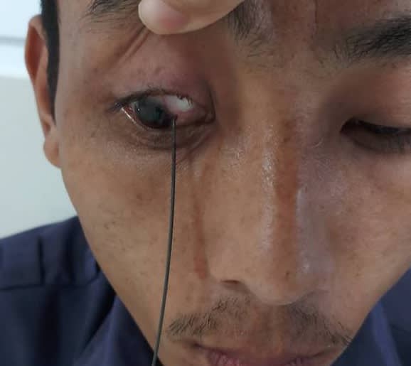 Lưu bản nháp tự động