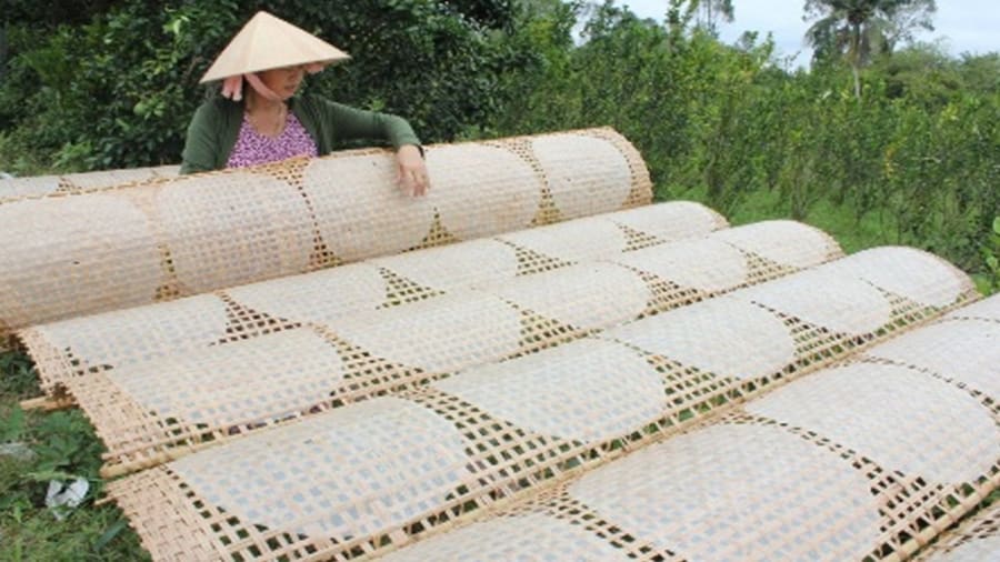 Quảng Bình: Làng nghề bánh tráng Tân An sôi nổi vụ Tết