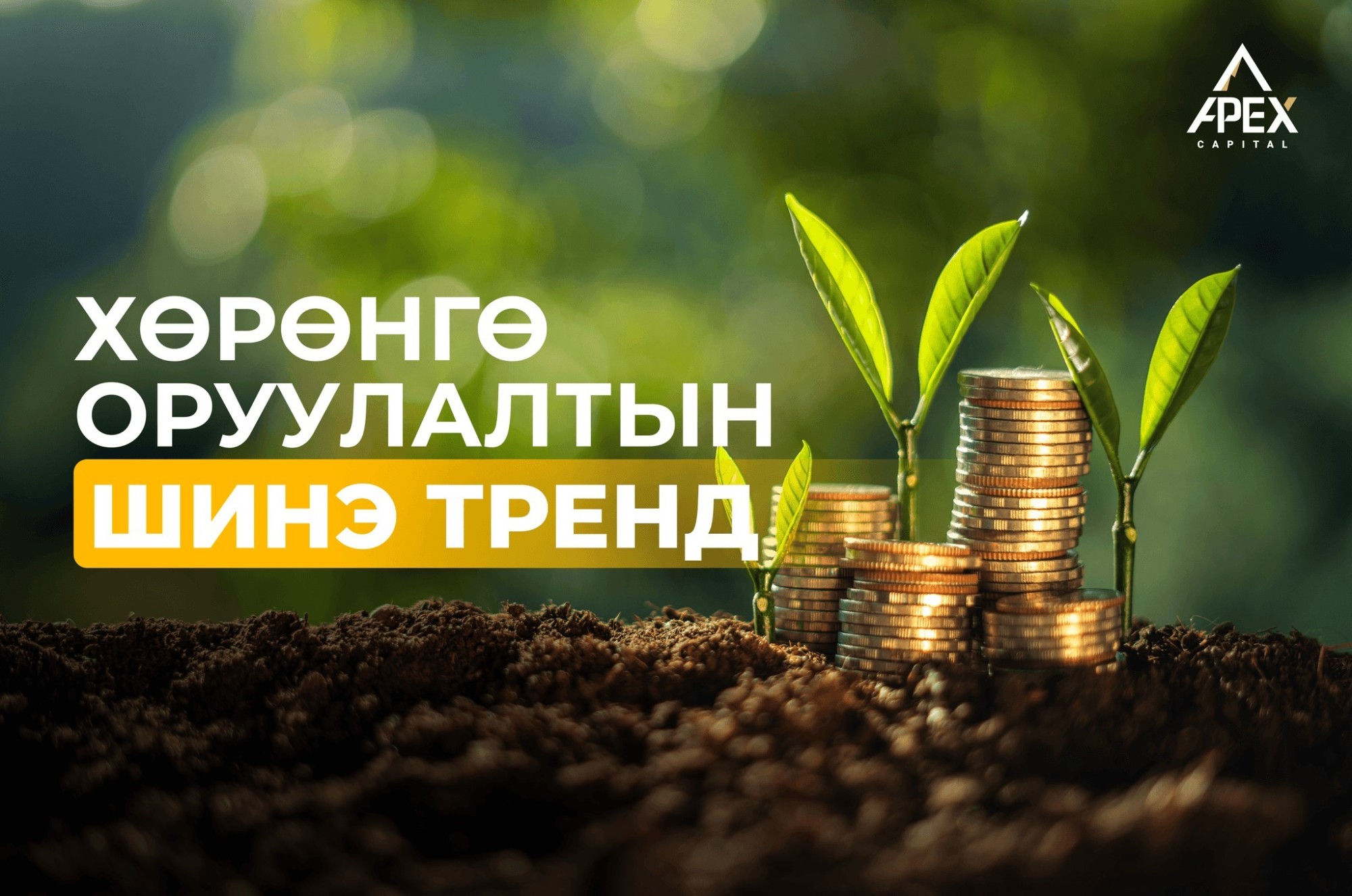 ХӨРӨНГӨ ОРУУЛАЛТЫН ШИНЭ ТРЕНД