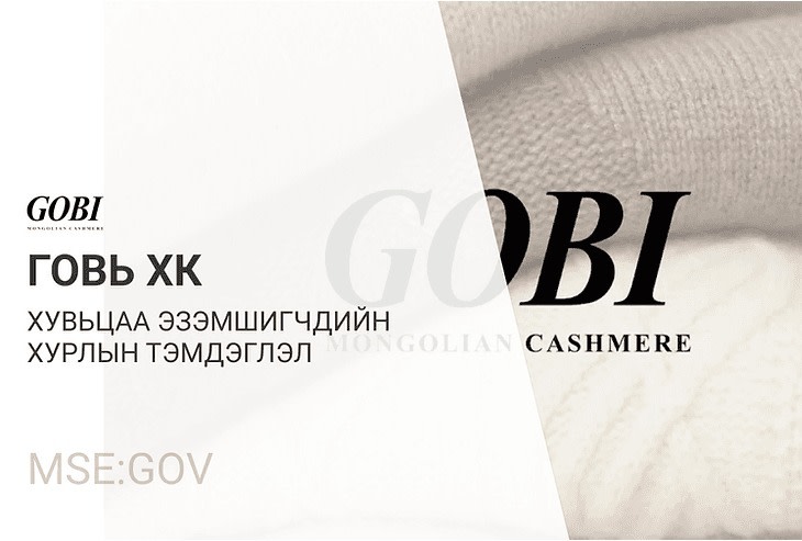 Говь ХК-ийн хувьцаа эзэмшигчдийн хурлын тэмдэглэл