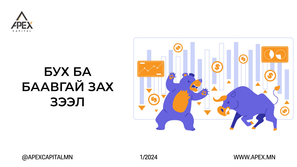 Бух ба баавгай зах зээл