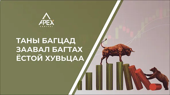Таны багцад заавал багтах ёстой хувьцаа