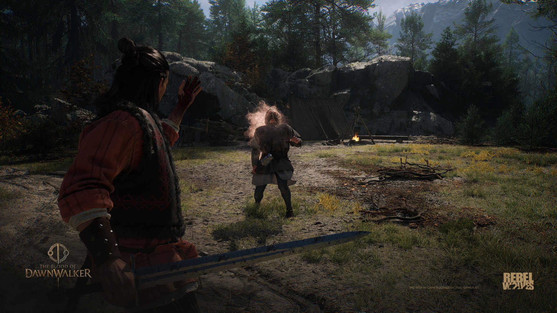 Coen the Dawnwalker overlooking the valley of Vale Sangora in The Blood of Dawnwalker