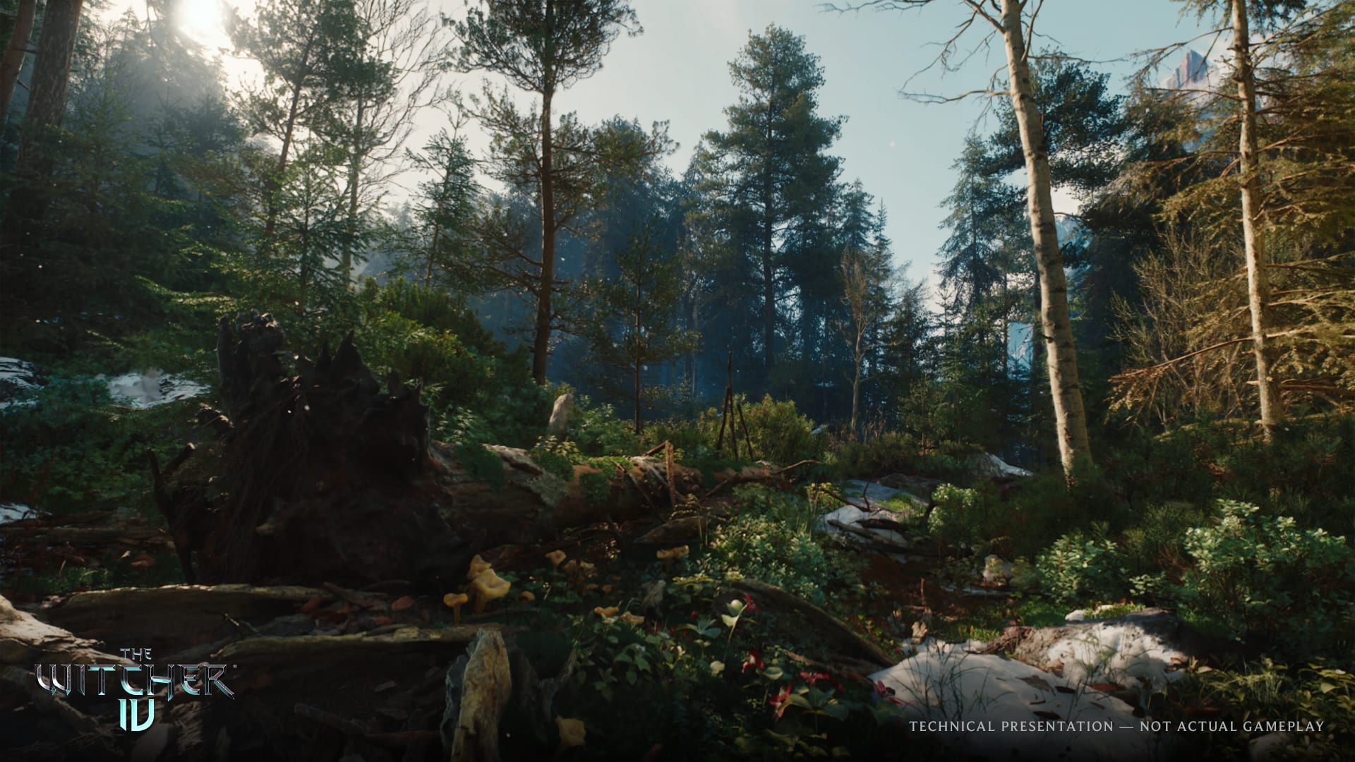 The winter capital of Lan Exeter shown at the end of The Witcher 4 Unreal Engine 5 tech demo