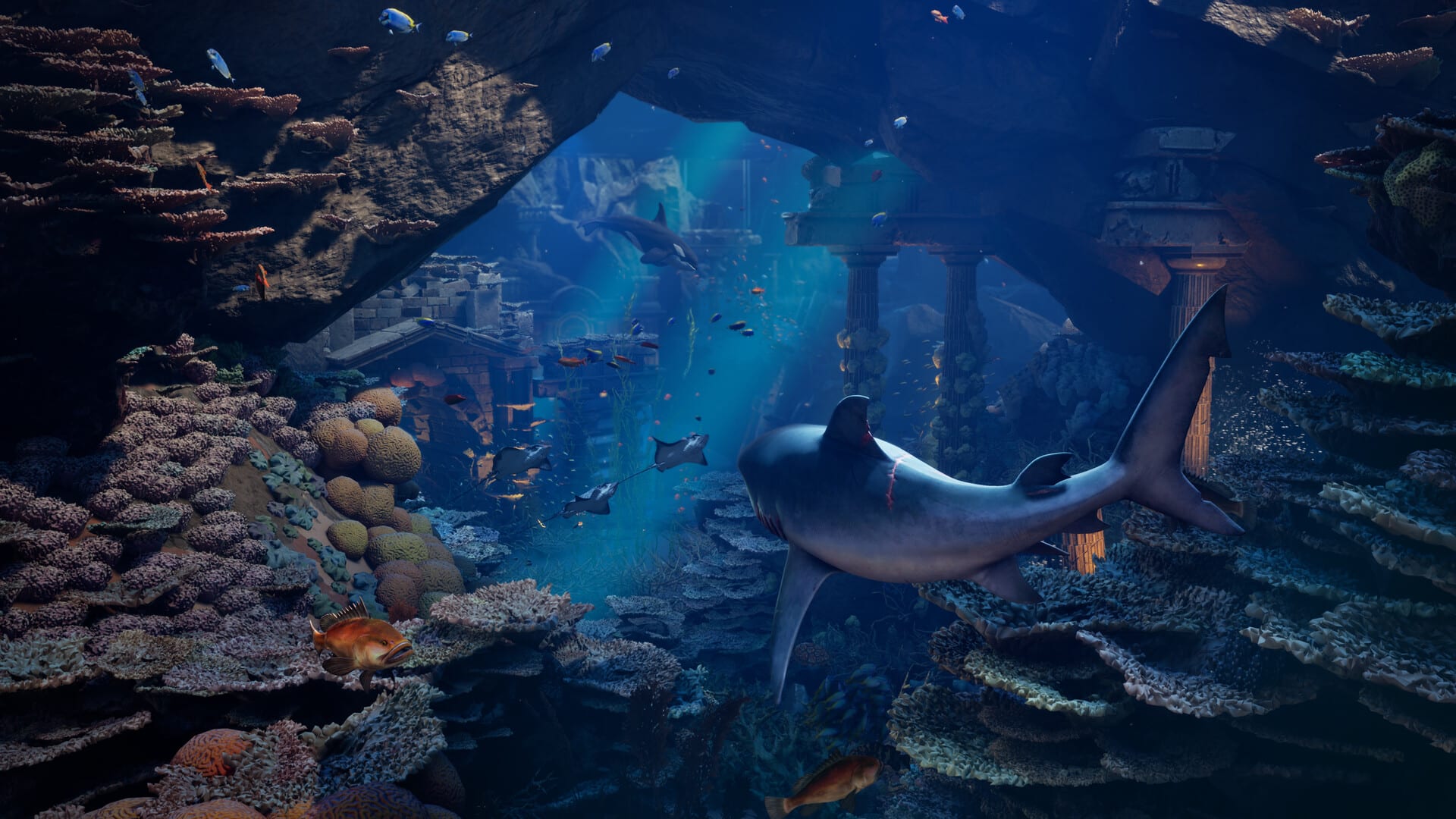A scarred bull shark swims through a coral cave toward sunken Roman columns and ruins lit by shafts of blue light in Maneater 2