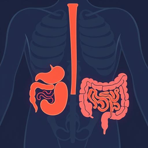 Как отличить боль в желудке от кишечника: самодиагностика и симптомы