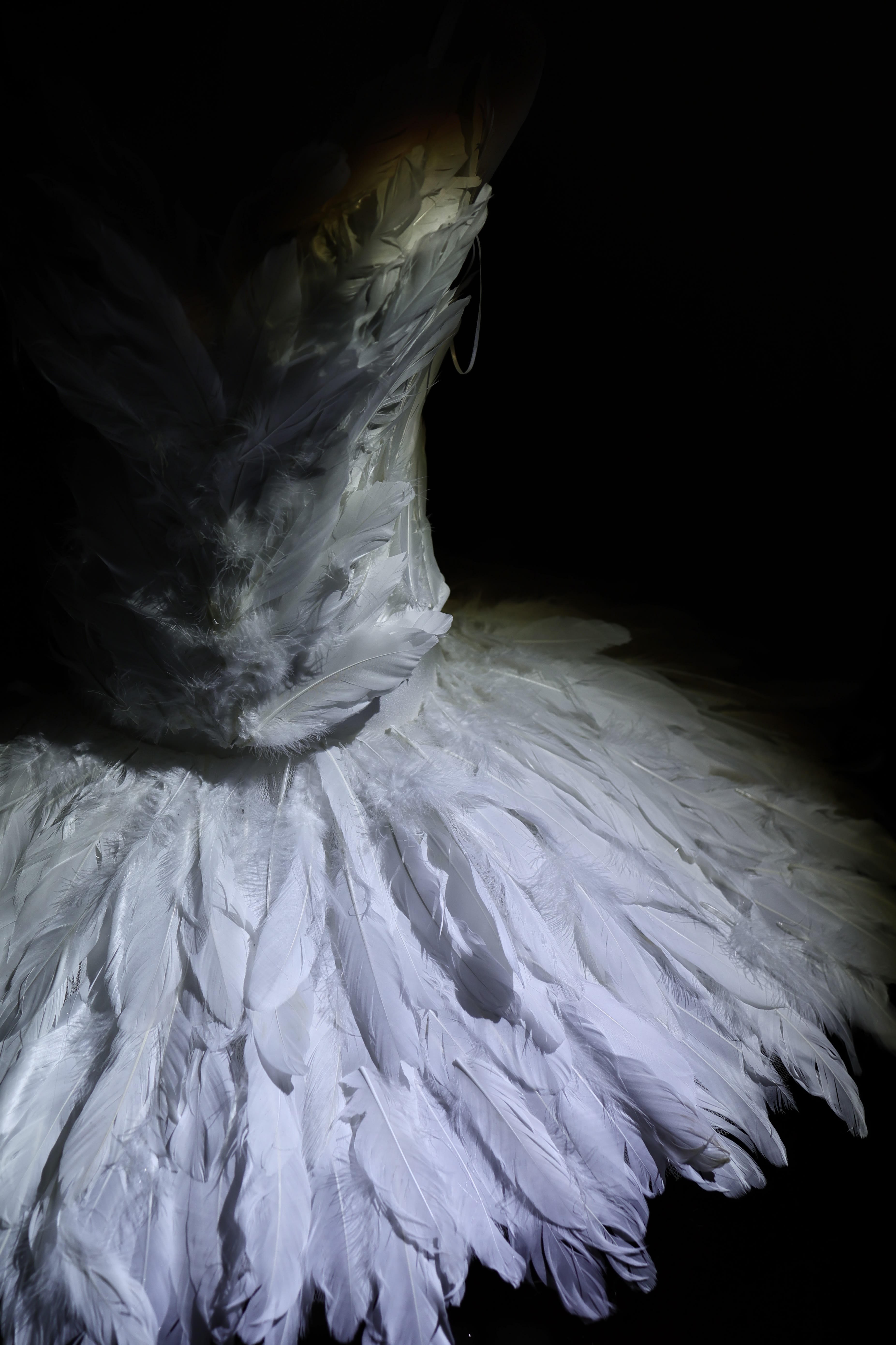 Look 3 - Photo 2