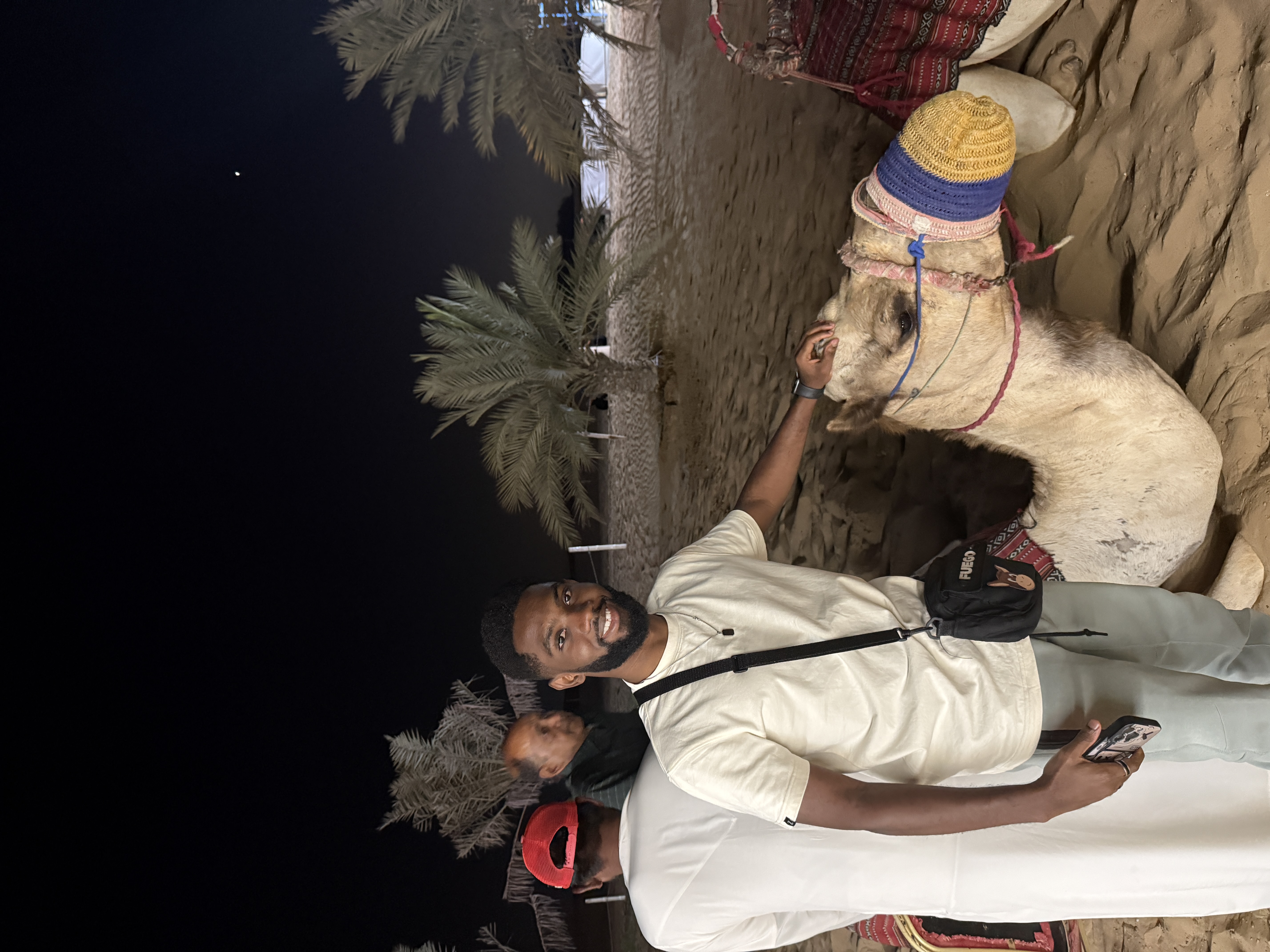 New Year in Dubai gallery photo 3