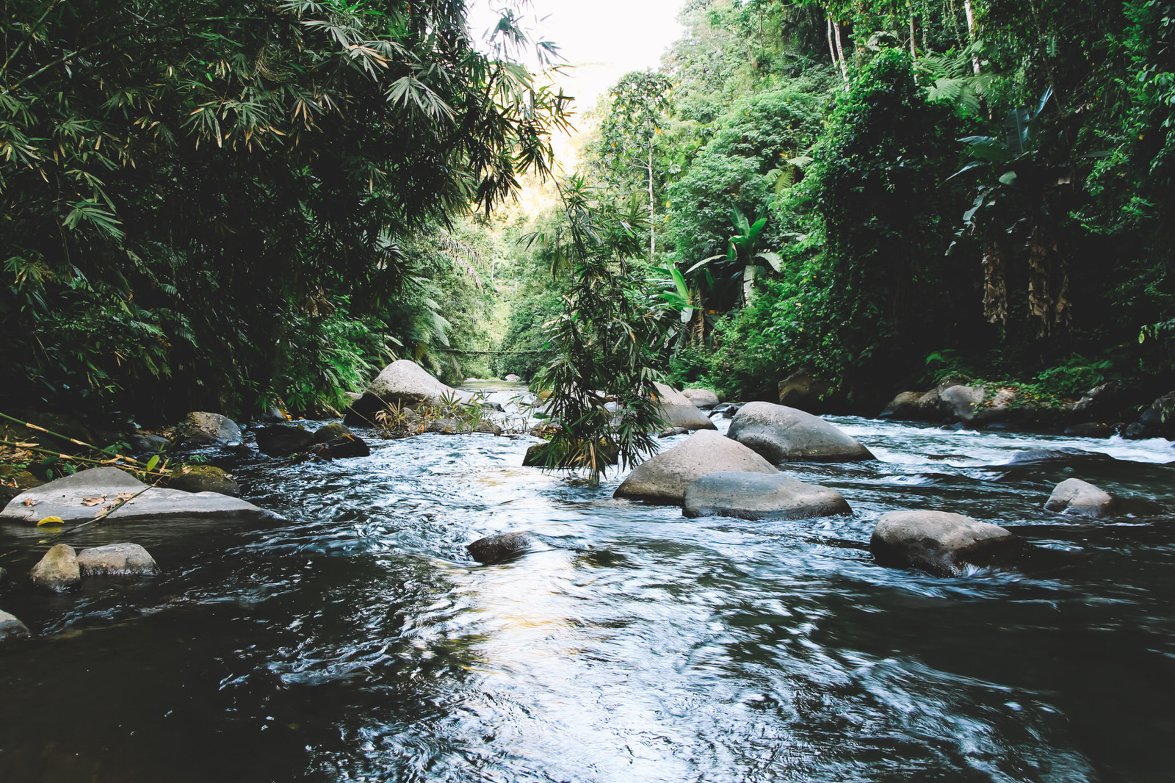 Ubud Tour C - Adventure