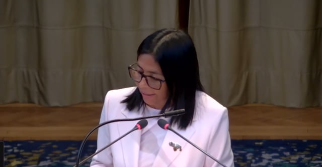 Venezuela will never accept any judicial settlement of the border controversy – Delcy Rodríguez tells ICJ