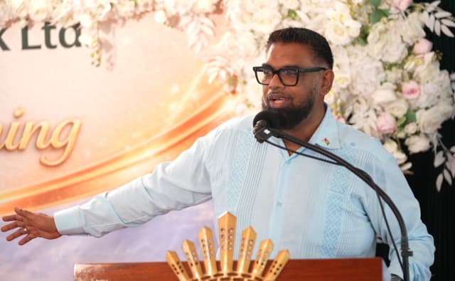 Pres. Ali eyes Gulf state investment in local storage facilities