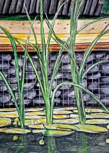 Botanical garden. Markers, 24x30 cm. By Georgi Slavin