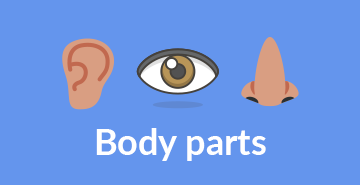 Body parts | English A1 vocabulary exercises