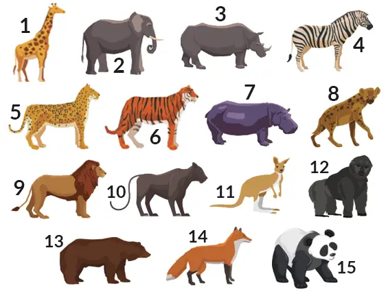 Animals | English A2 vocabulary exercises