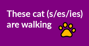 Plural nouns | English A2 grammar exercises