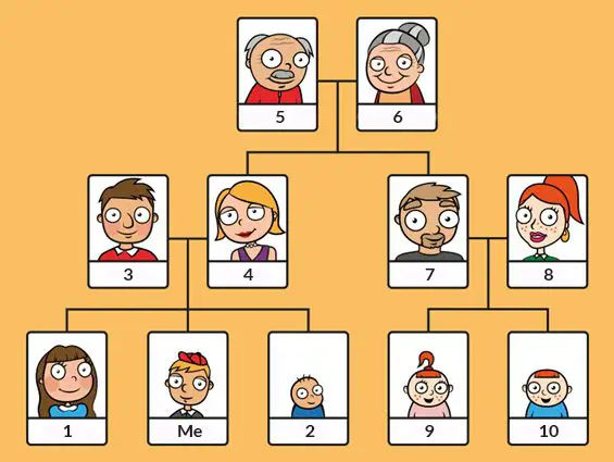Family and relatives | English A1 vocabulary exercises