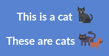Demonstratives - this, that, these, those | English A1 grammar lesson