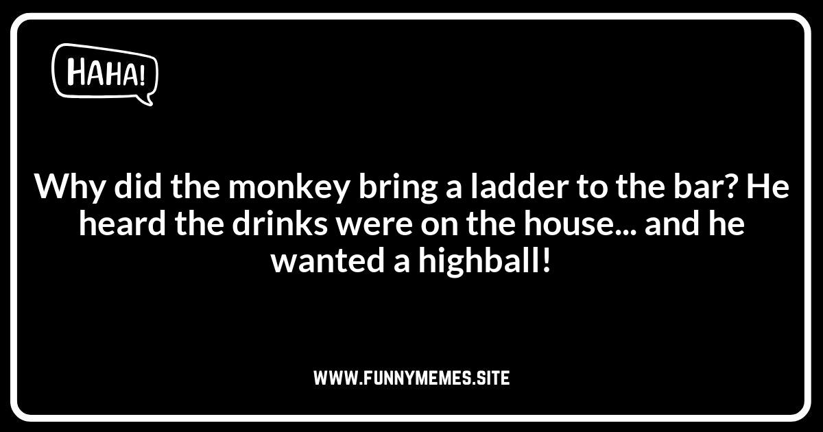 Monkey Jokes: From Chimps to Gorillas, We've Got You Covered