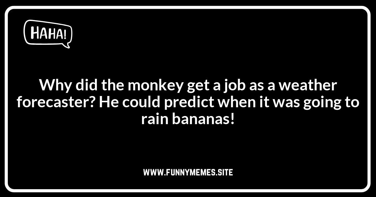 Monkey Puns: A Zootiful Collection for Animal Lovers