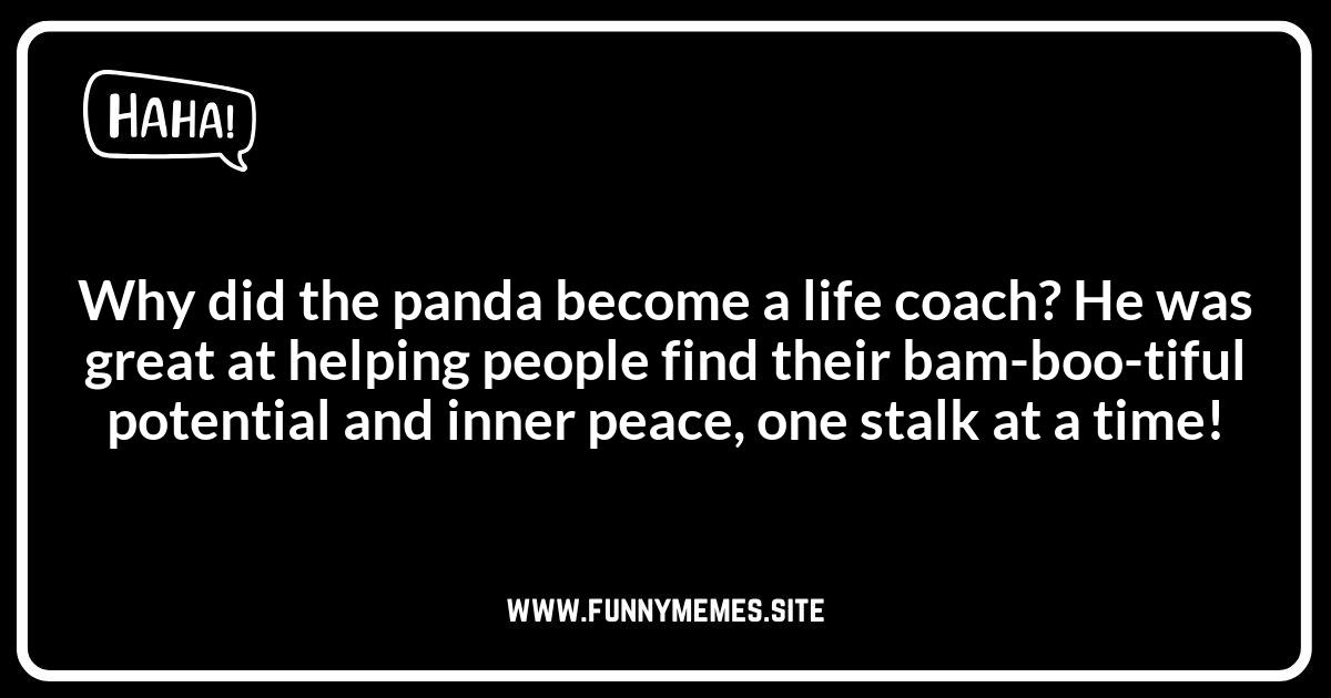Panda Puns: Exploring the Lighter Side of Conservation
