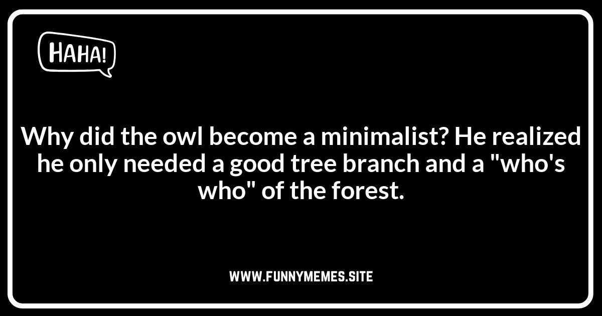Owl Jokes and Riddles: Test Your Knowledge!