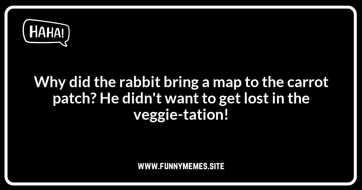 Kids' Corner: Child-Friendly Rabbit Jokes