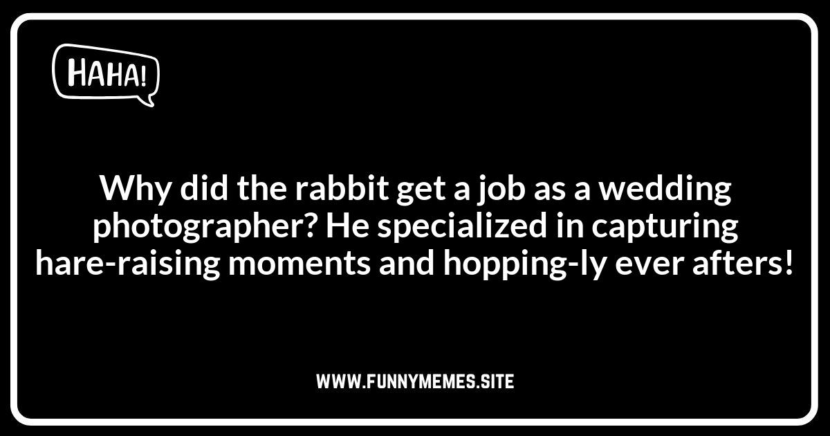 Rabbit Jokes: A Comedian's Perspective