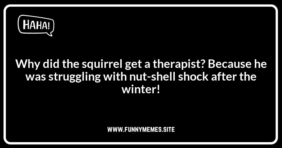 Best Squirrel Jokes: Hand-Picked Funny Squirrel Moments