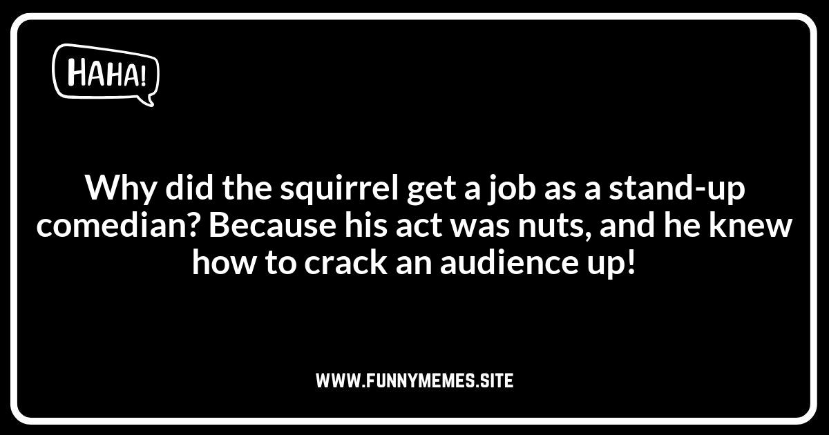 Punny Squirrel Jokes: A Celebration of Wordplay