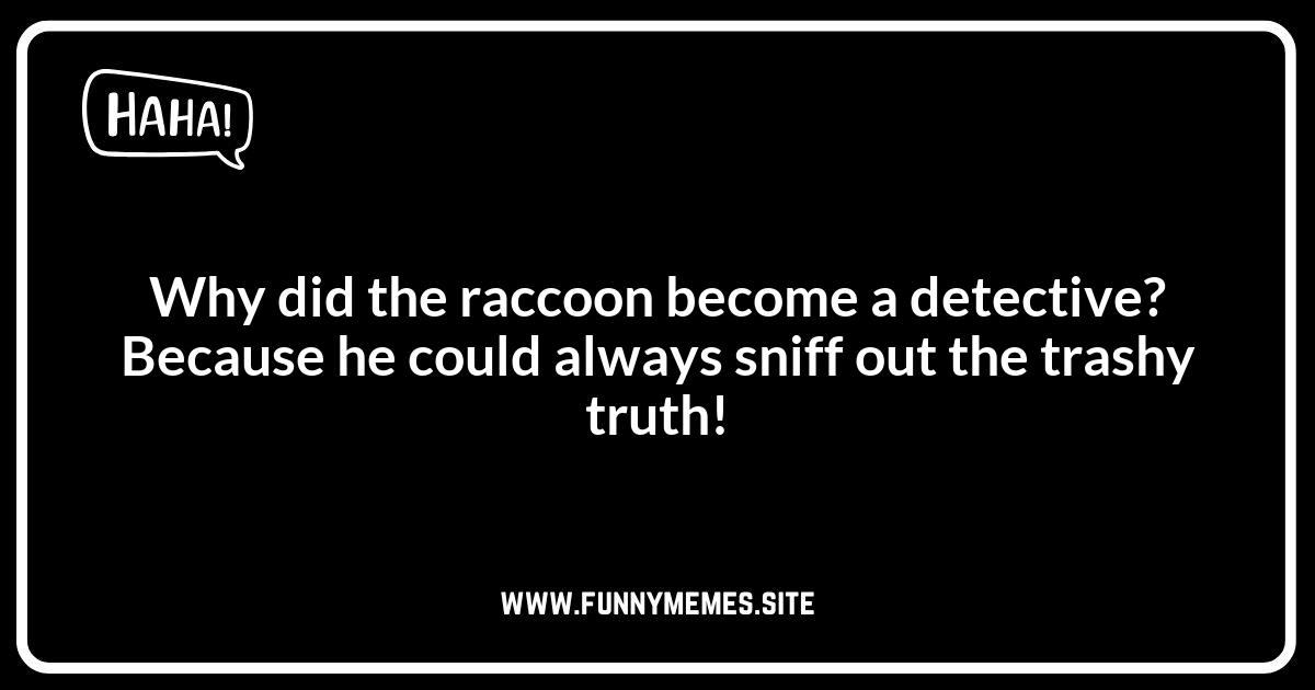 Raccoon Puns & Intelligence: Are They Really That Smart?