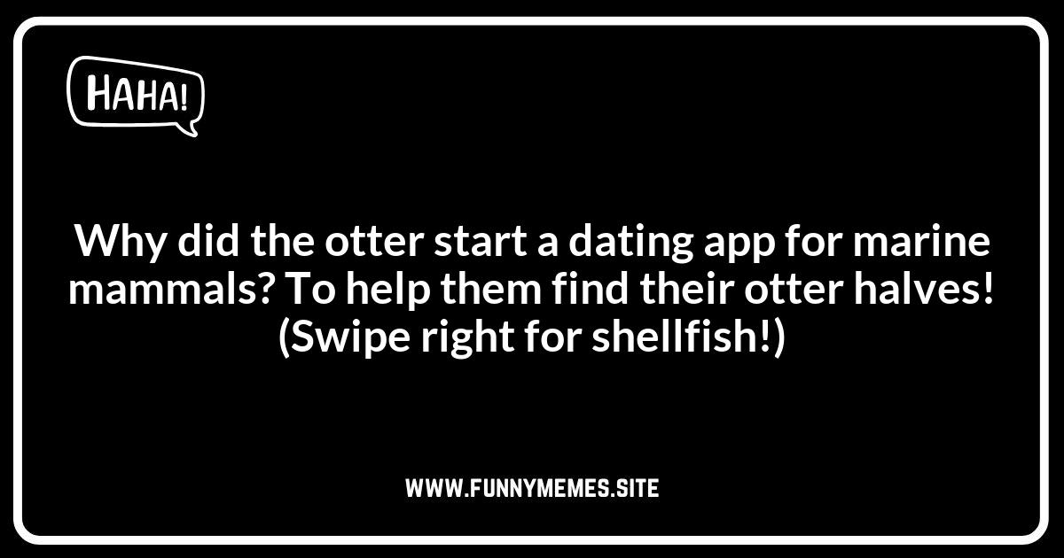 Otter Jokes and Their Cultural Impact: More Than Just Giggles