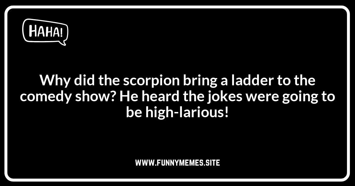 Laugh Your Tail Off: The Best Scorpion Jokes