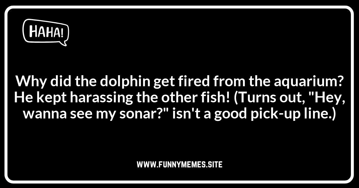 Dolphin Jokes Gone Wrong: When the Humor is a Bit Off