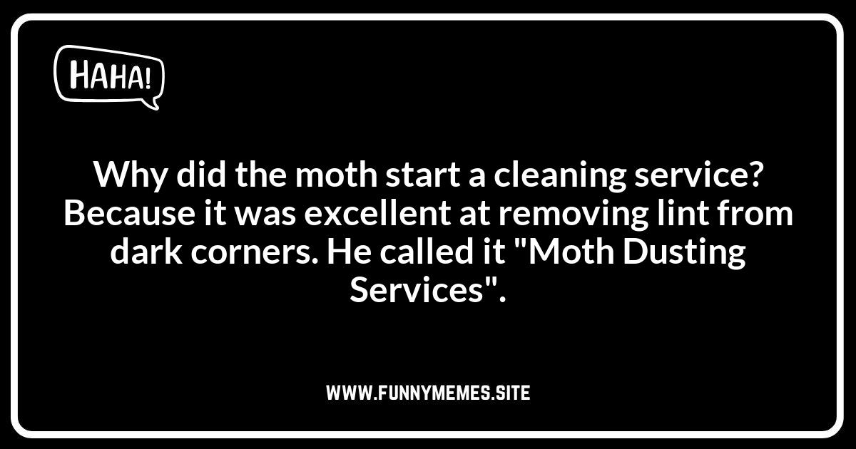Moth Puns: Winging It with Wordplay