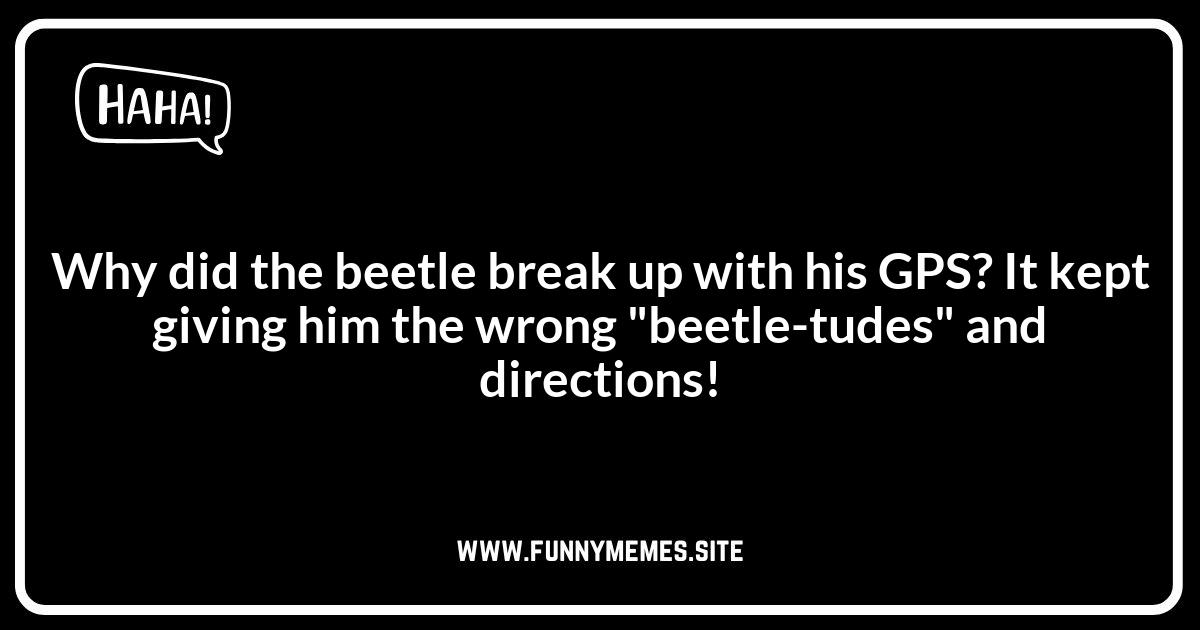 Punny Beetles: Wordplay That's Bugging Out!