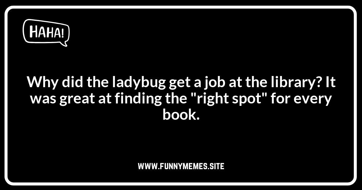 The Punny Side of Ladybugs: Clever Wordplay