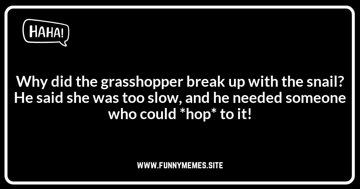 Grasshopper Jokes and Puns: Punny Wordplay Explained
