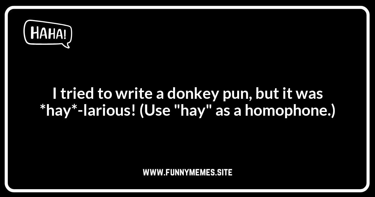Donkey Jokes: How to Write Your Own Hilarious Puns