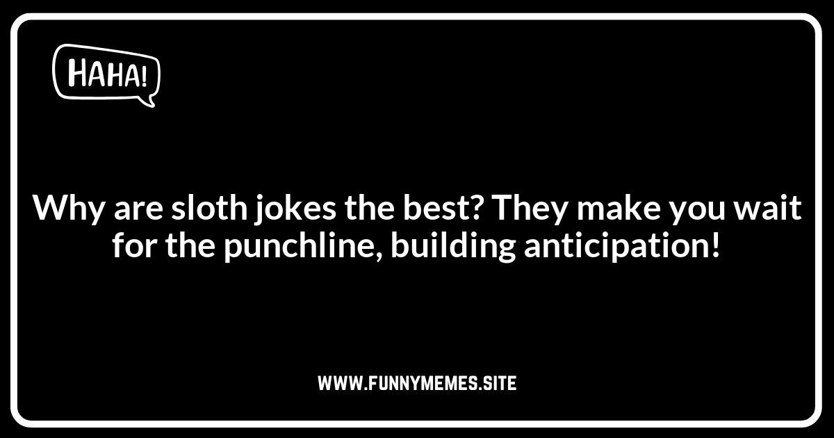 Sloth Jokes: Why They're the Best Animal Humor
